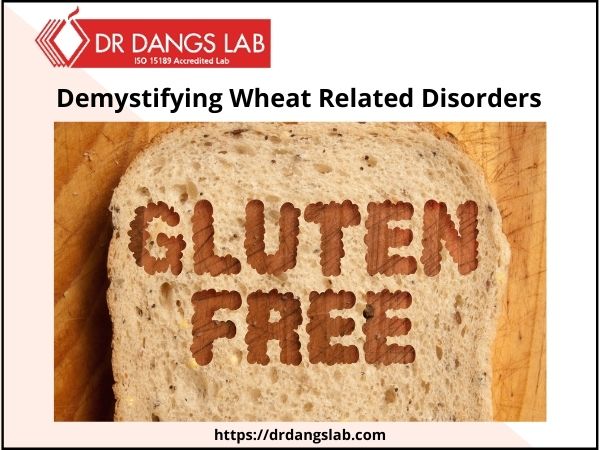 Demystifying Wheat related Disorders
